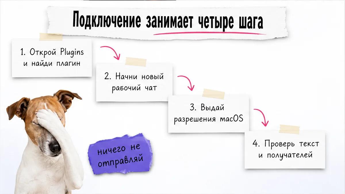 Кот прикрывает морду рядом с карточками четырёх шагов подключения.