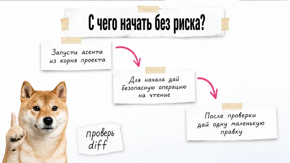 Собака показывает лапой вверх рядом с тремя шагами безопасной проверки проекта.