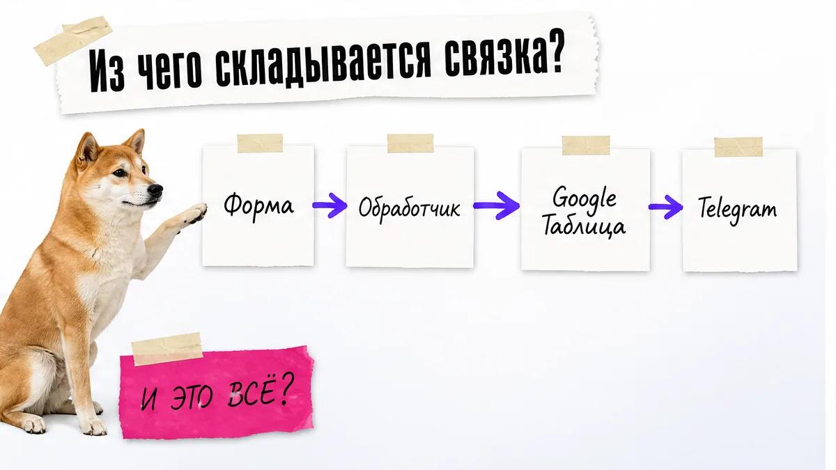 Собака показывает лапой на цепочку из формы, обработчика, таблицы и Telegram.