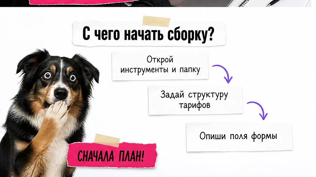 Собака показывает три первые карточки сборки калькулятора доставки.