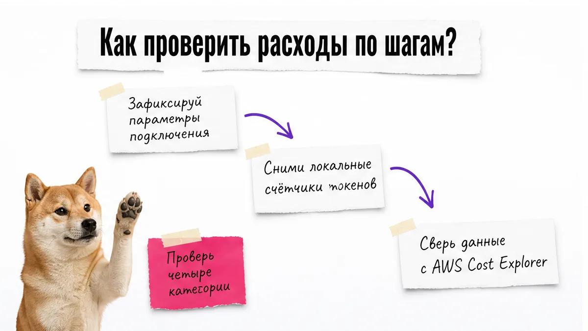 Собака одобряет последовательность проверки расходов Codex через Bedrock.