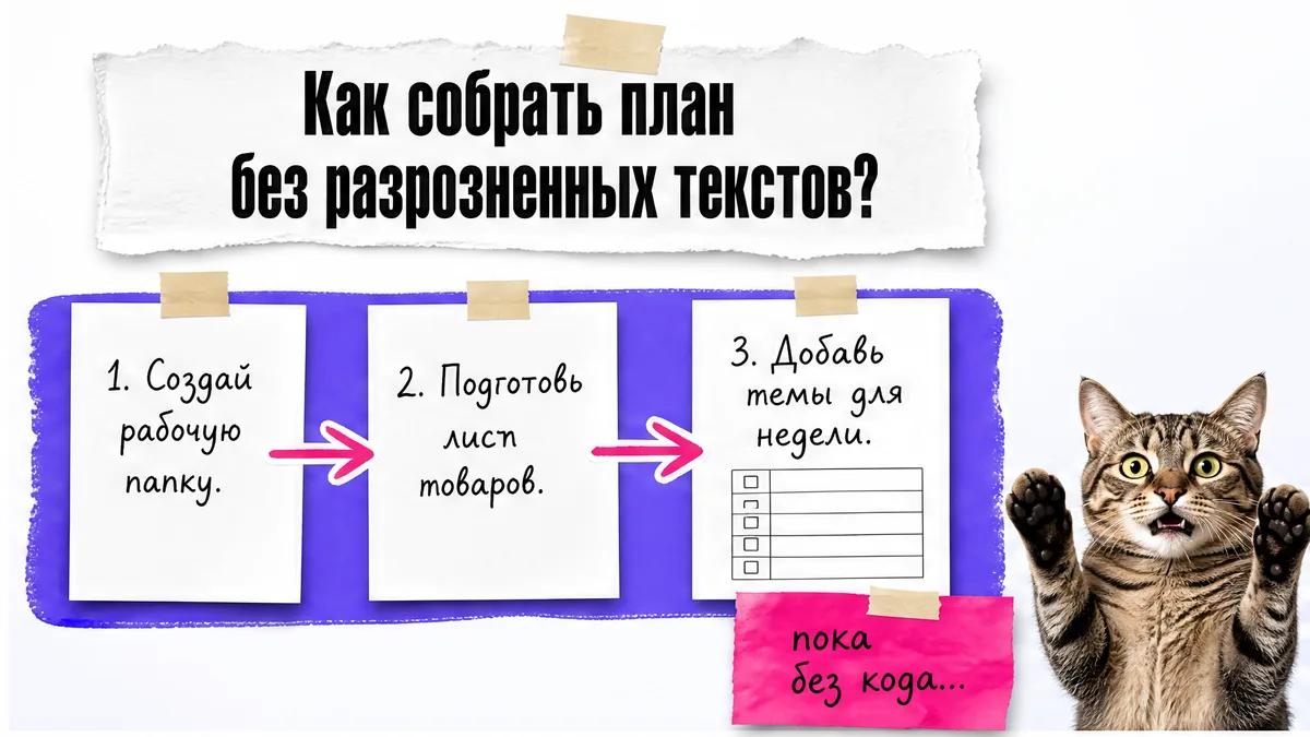 Кот в шоке смотрит на карточки с первыми тремя шагами сборки недельного плана.