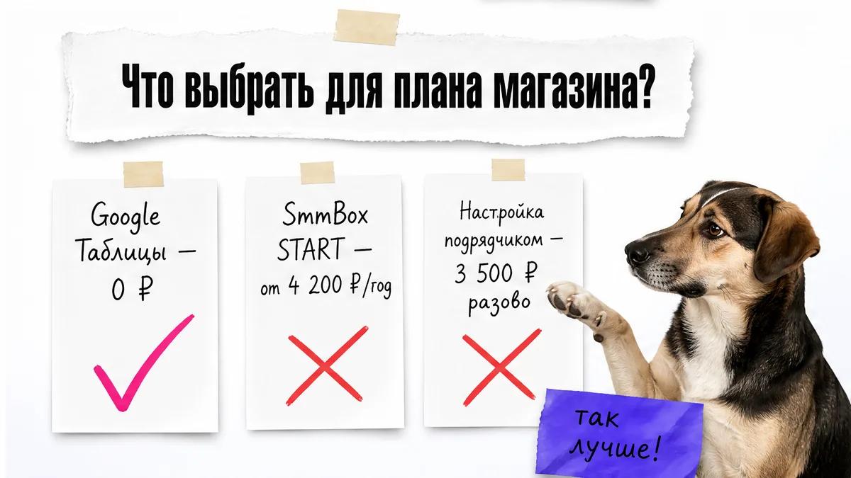 Собака поднимает лапу у сравнительной схемы вариантов и отметки собственного решения.